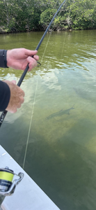 Fish on in Key Largo!"